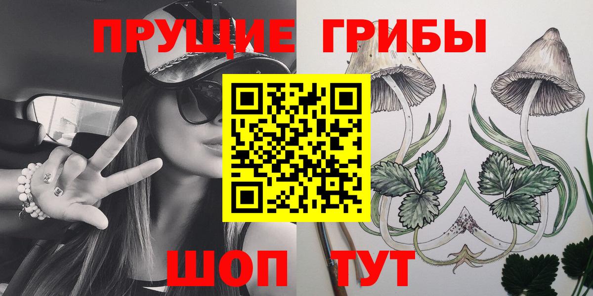 Галлюциногенные грибы Psilocybe Набережные Челны