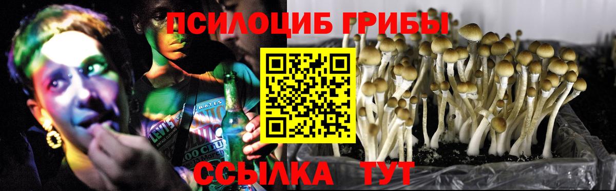 Галлюциногенные грибы прущие грибы  Вход с VPN  Набережные Челны 